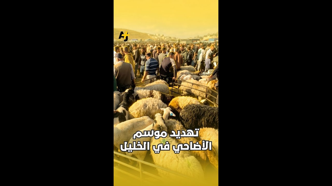 تهديد موسم الأضاحي في الخليل