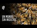 ¿Qué pasaría si las abejas desaparecieran del planeta?