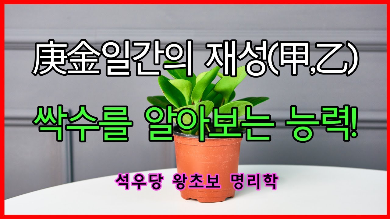 庚金일간의 재성(甲,乙) 싹수를 알아 보는 능력!(석우당 왕초보 명리학)