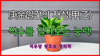 庚金일간의 재성(甲,乙) 싹수를 알아 보는 능력!(석우당 왕초보 명리학)