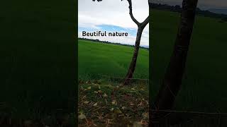 nature heals and soul🏞️💚#new # nature