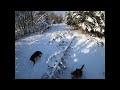 Widening the Path, Episode 5