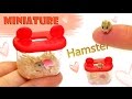 [DIY Miniature Hamster & Hamster case ] 미니어쳐 햄스터 & 햄스터 집 만들기