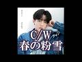 💎  新曲  C/W 「春の粉雪」  辰巳ゆうと  COVER ♪ hide2288
