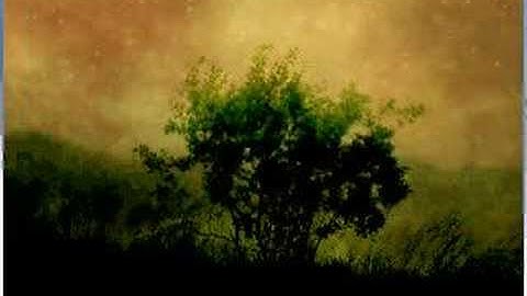 Ubuntu Linux Permissions - Part 4