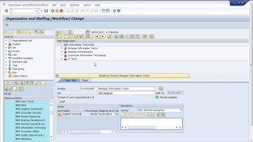 Org structure in SAP Workflow