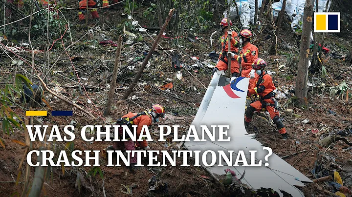 China plane crash 'may have been intentional': US media reports - DayDayNews