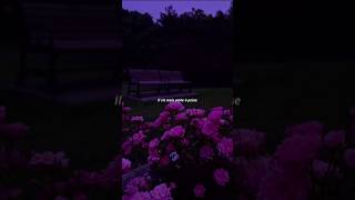indila - love story (lyrics)|| aesthetic || whatsapp status || full screen||#lyrics #aesthetic #song