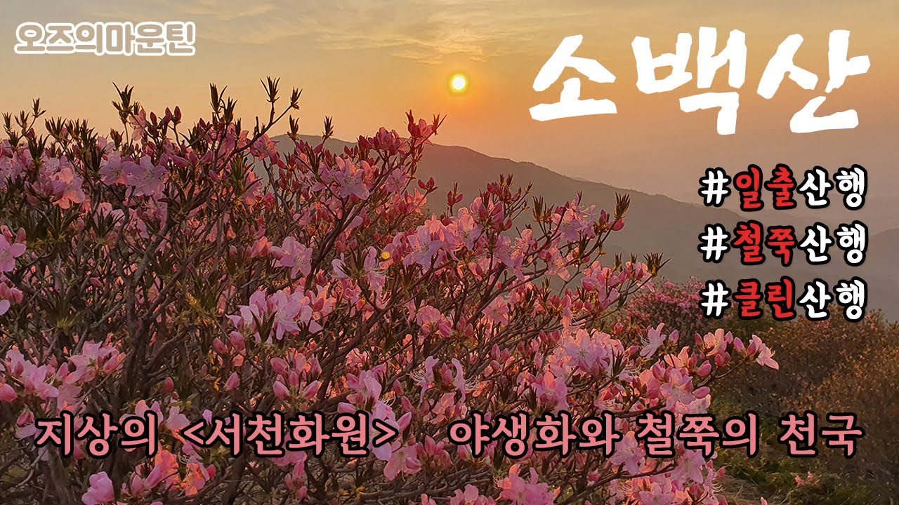 소백산 철쭉산행/일출산행/클린산행 (어의곡-비로봉-국망봉 원점회귀 환종주코스) Sobaeksan National Park