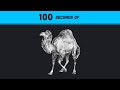 Perl in 100 Seconds