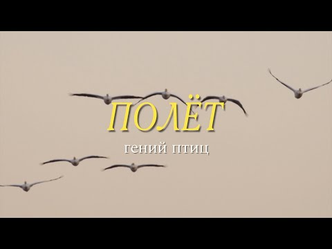 Flight - Russian