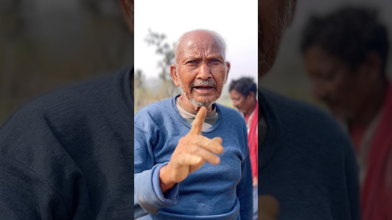 FREE CRICKET BAT MAKING,🔥🔥❤️ 