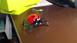 Hexapod Ladybug home made