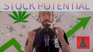 TOP 3 cannabinoid stock research areas in 2023 - (PhD student's research)