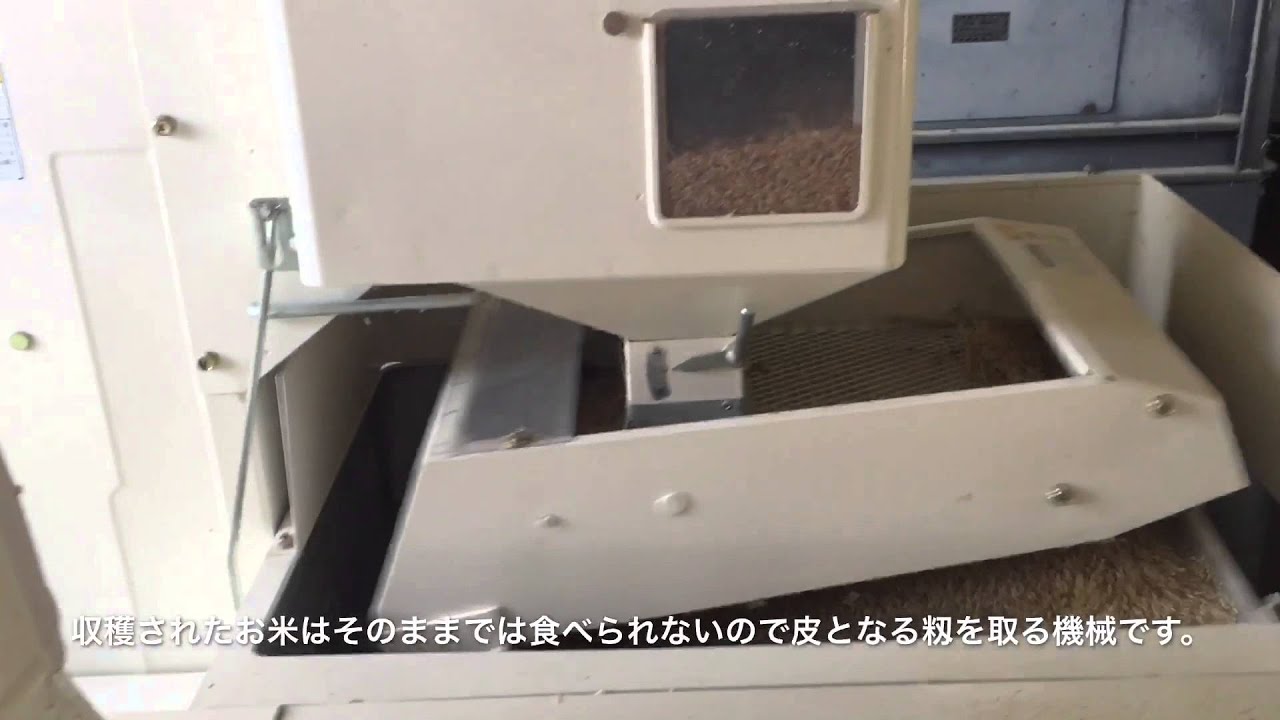 有機栽培米天日干し「天地の誉」「金沢加賀百万石ほんだ農場」EM農法
