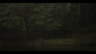 .•*плейлист, чтобы почувствовать благодарность к жизни (1.1)*.•