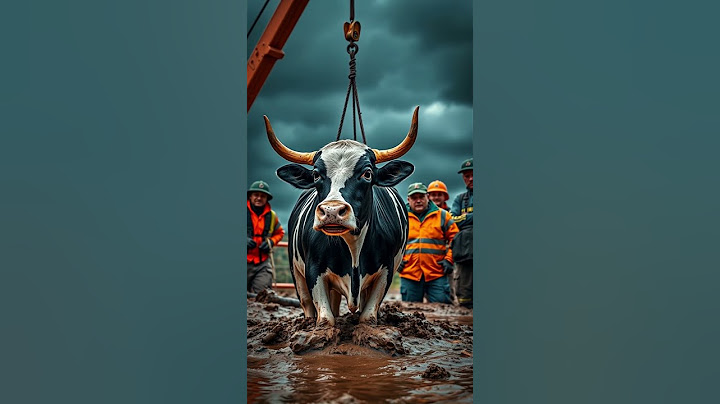 Huge cow Stuck in mud hole saved by rescuers - Animal rescue story