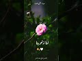 حالة واتس اب قرآن رائعه جدا 🥰(محمد الليثي)🌿☝️