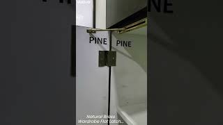 Flat Latch