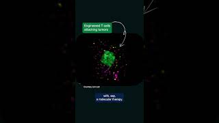 Celebrity Cell Design and Cell Engineering at UCSF #shorts Net Worth
