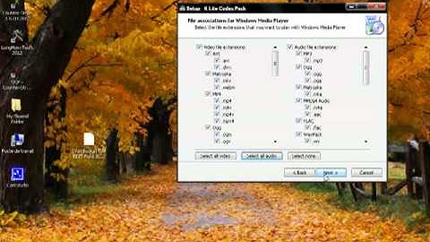 how to install window media player codecs