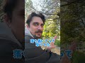 Cherry Blossoms Foreigners Reactions Cherry Blossoms Foreigners Reactions
