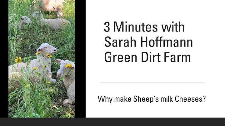 Episode 67.5 - 3 Minutes with Sarah Hoffmann