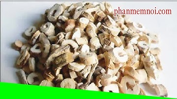 ✅ Bài thuốc giúp quý ông tự tin hơn