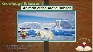 Celebrity Knowledge 8 Lesson 2 Animals of the Arctic Habitat Profile