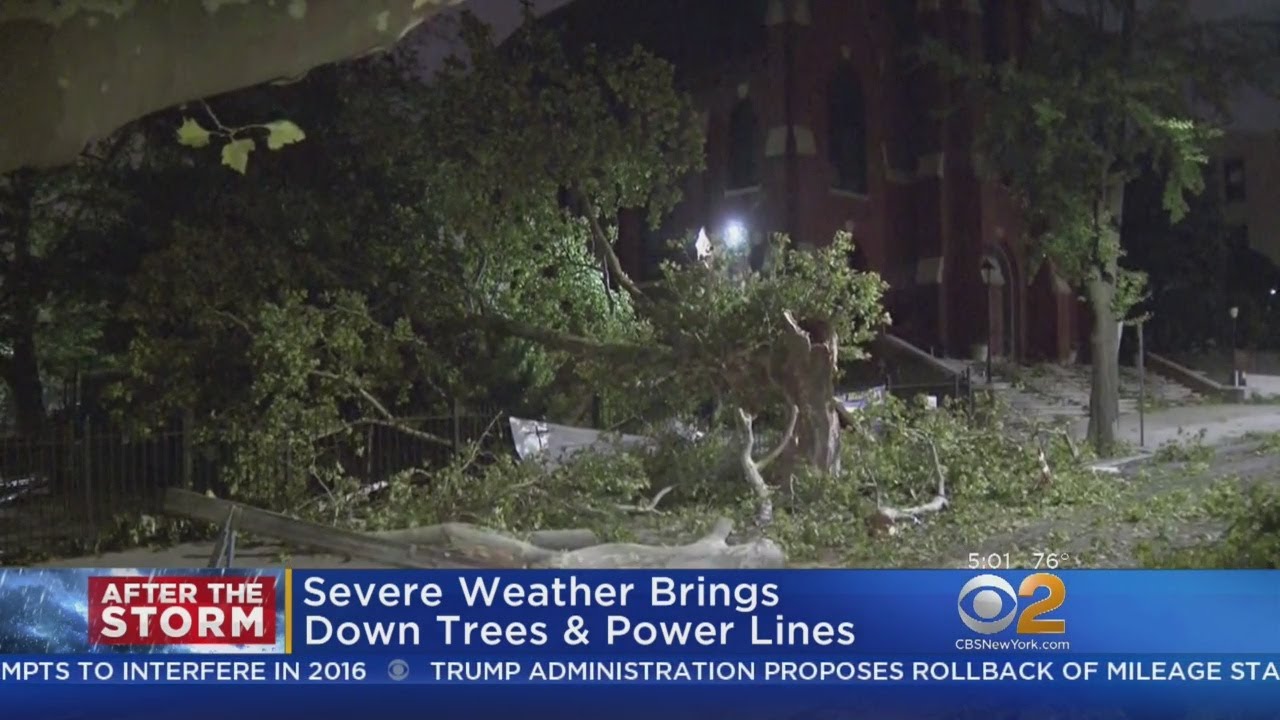 Severe Weather Brings Down Trees & Power Lines - YouTube