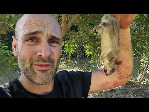 ED STAFFORD: YABAN MACERASI Kahvaltıda fare ziyafeti