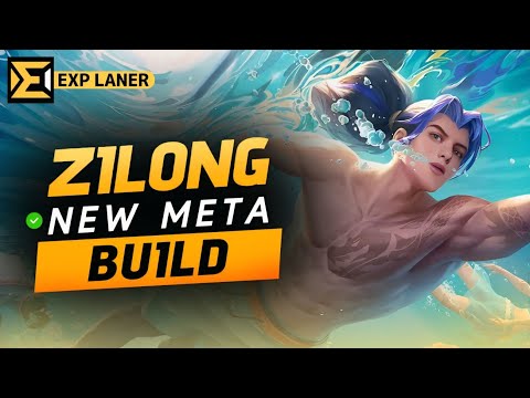 What Is Zilong Counter