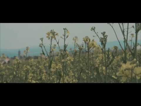 {artistName}의 {trackName} 뮤직 비디오 보기