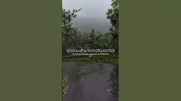#القران_الكريم #تلاوة_خاشعة #راحة_نفسية #القران_الكريم_راحه_نفسية #حالات_واتس #quran_alkarim #المصحف