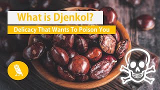 What is Djenkol? (Jengkol, Stinkbean) | Fruits You Probably Never Heard Of | Ep. 9