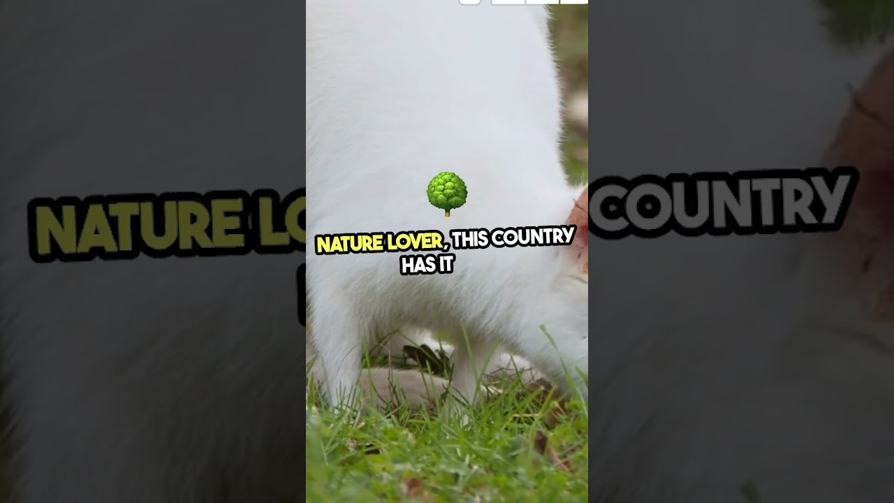 Ultimate Australia Travel Adventure Guide 2024 