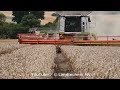 Claas-Fendt-++ / Getreideernte - Grain Harvest  2019