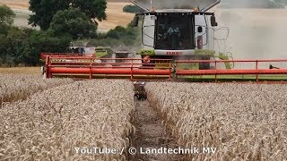 Claas-Fendt-++ / Getreideernte - Grain Harvest  2019