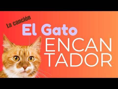 El Gato Encantador