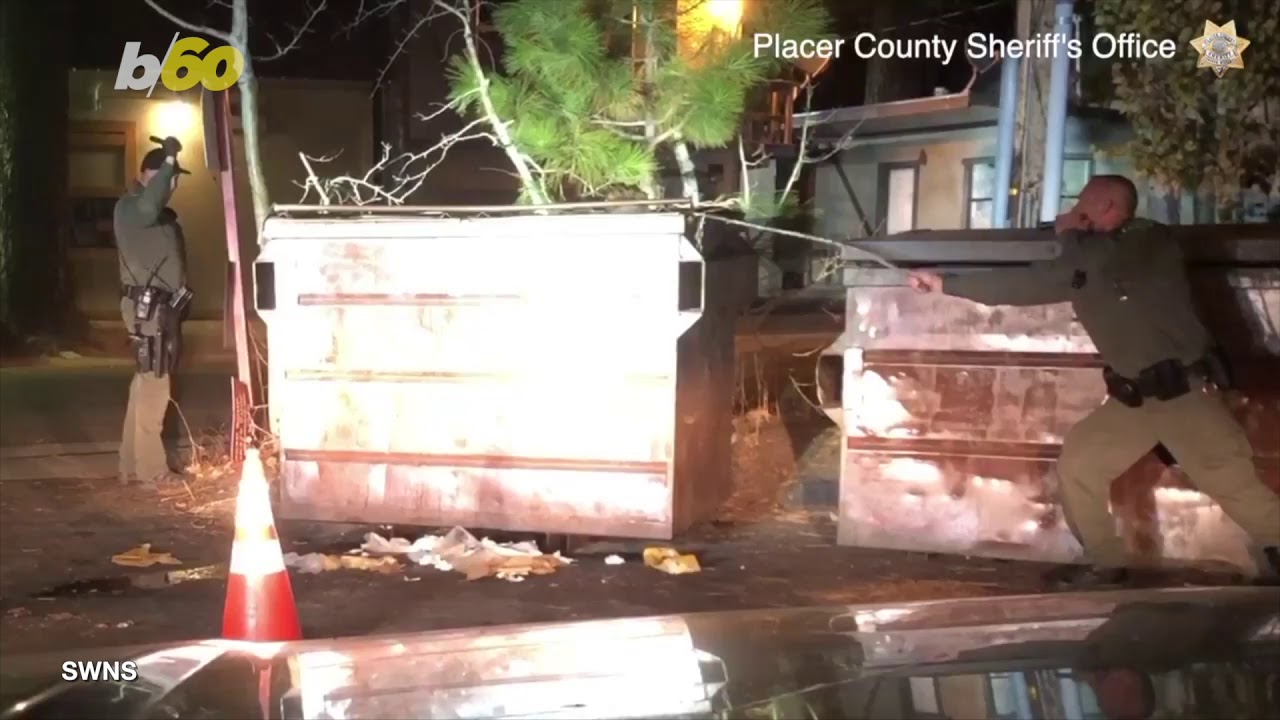 Deputies Rescue Giant Bear Trapped Inside Dumpster - YouTube