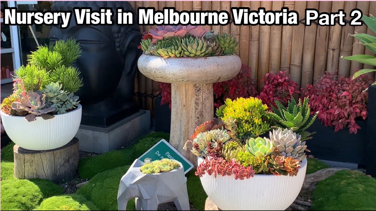 Succulent Nursery Tour Part 2 at Melbourne Victoria (Pot’s Galore)