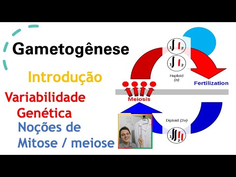 Introdução , Variabilidade
