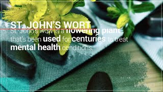 The Basics: St. John's Wort | WebMD Profile
