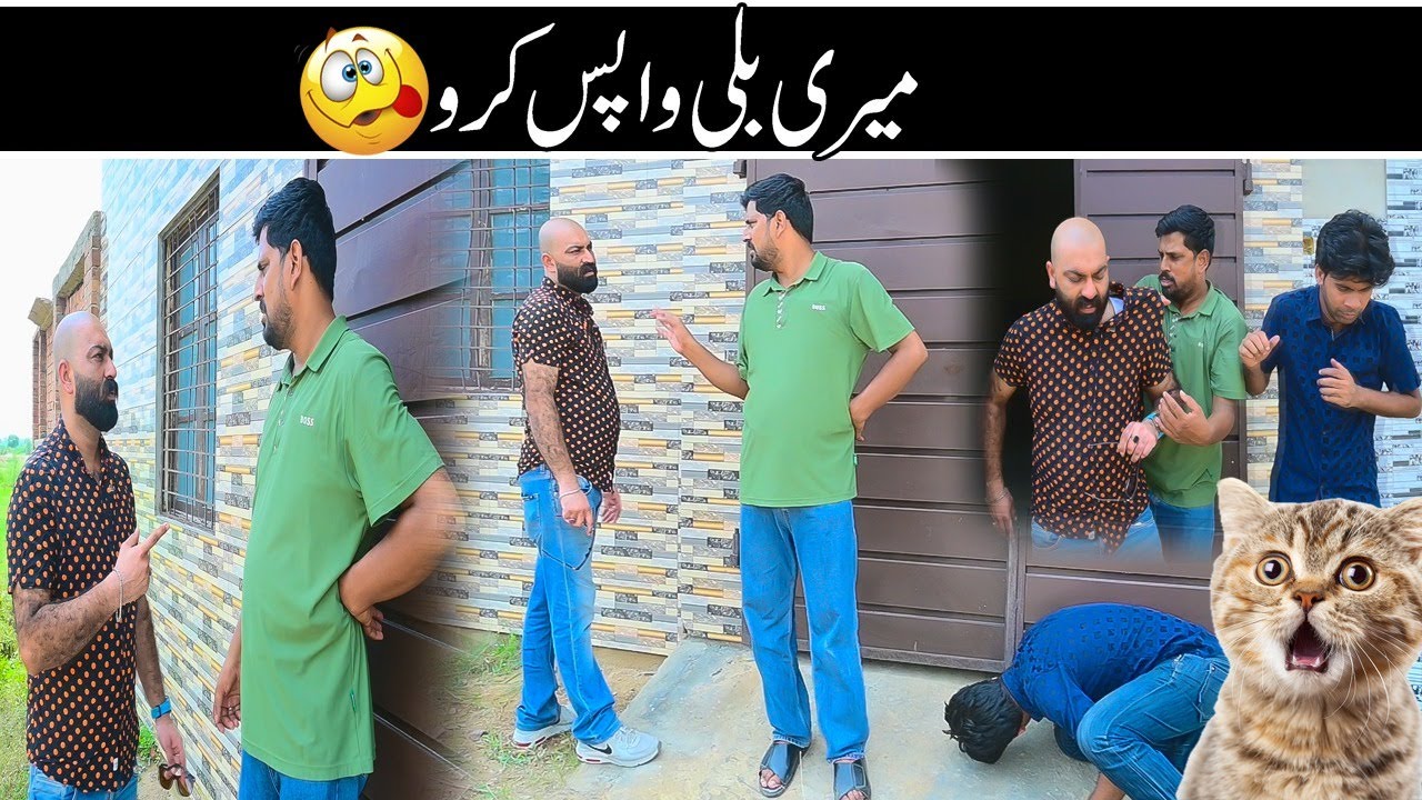 Meri Billi Wapis Do 🐱😂| Road Studio Comedy Video 🎉