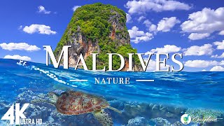 Maldives 4K UHD - живописный релаксационный фильм с успокаивающей музыкой (4K Video Ultrahd)