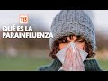 Qué es la parainfluenza y los problemas que genera en la salud respiratoria