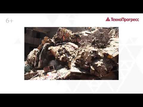 Экологическая безопасность | Учебный центр "ТехноПрогресс"