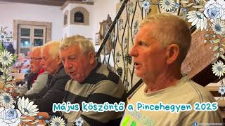 Kis Lak Áll A Nagy Duna Mentében....