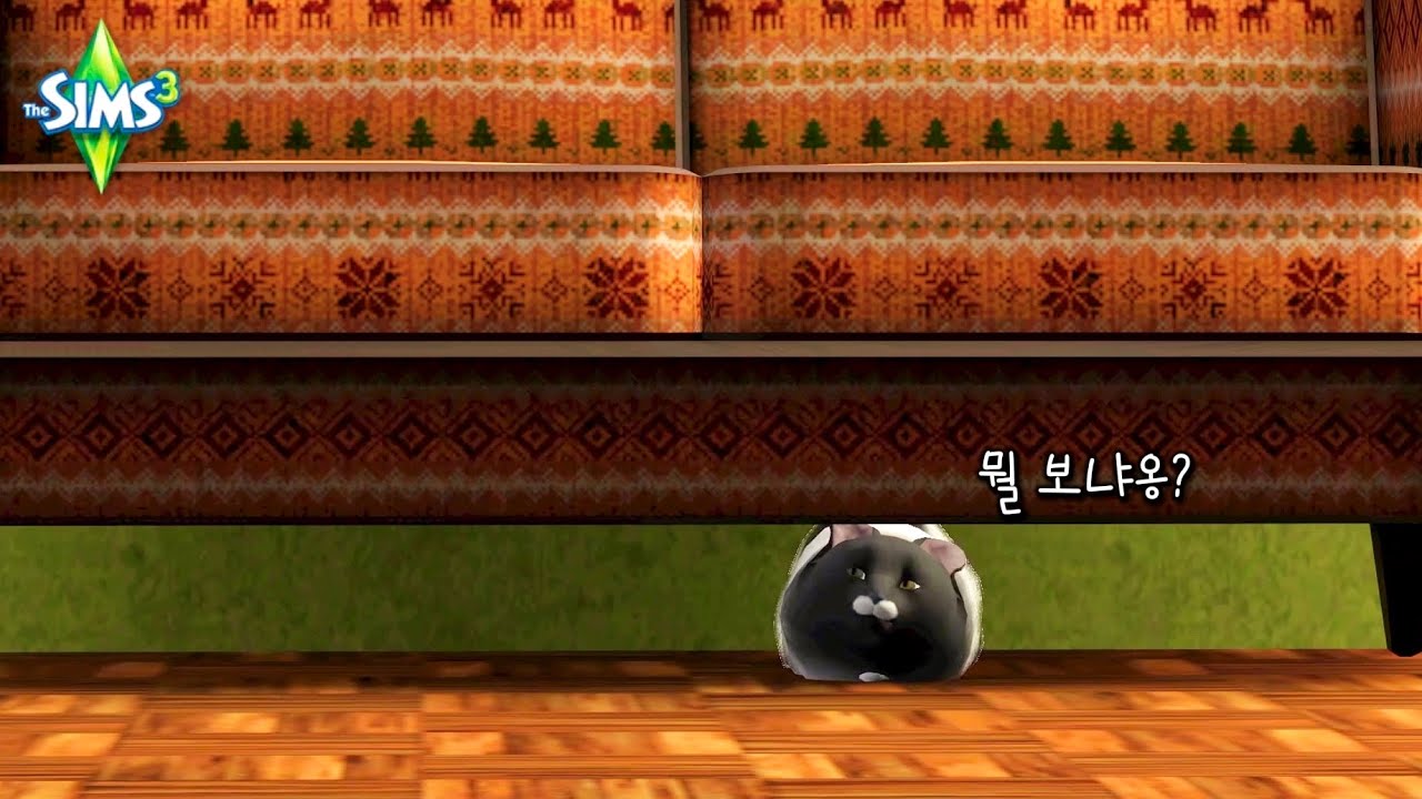 매력적인 삼즈의 고양이🐱 [심즈 3]