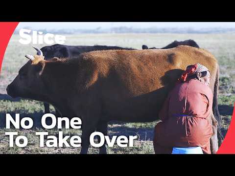 Mongolia’s Nomads: Why the Next Generation Is Leaving the Steppe | SLICE